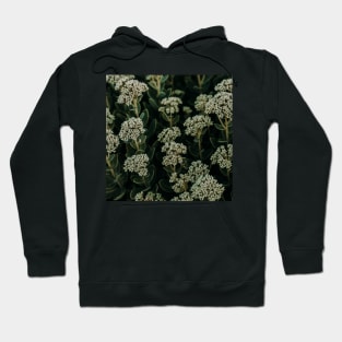 Small flowers in a botanical garden Hoodie